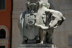 Rome on Segway – Elephants saddle