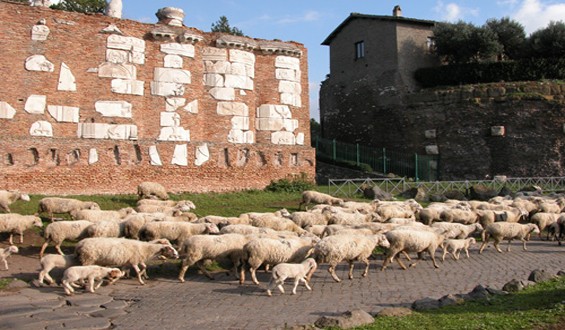 Rome-on-Segway-Appian-Way1